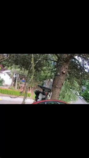 #treeclimber #treeclimbing #treeclimbers #treework #treeworker #treeservice #treetopping #arblife #arborist #climbin | Tree Falling | Facebook