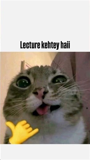 Backbencher 😎😎#cat #aesthetic #funnyshorts #viralshorts #trendingshorts #viral #memes