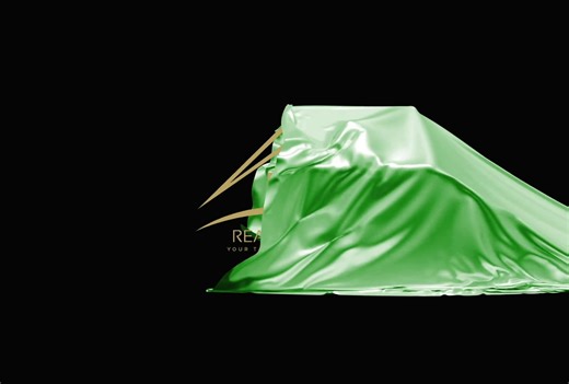 Real estate logo intro