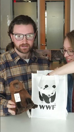 Symbolically adopt a capybara 💛 #WWF #Canada #capybara #adoption #gift