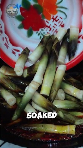 Spicy and Savory Dish Made From Bamboo Shoots