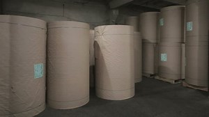 Paper production machine. Processing of secondary resources. Paper recycling. Large enterprise. Paper transport