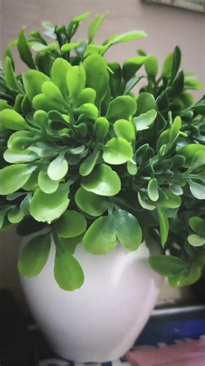 UPSC Aspirants daily start constitution of India and end maping 🙌