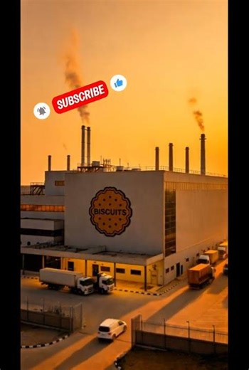 How Biscuits Are Made in a Factory | Biscuit Manufacturing Process Step by Step