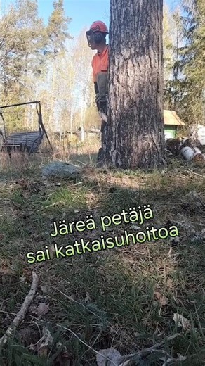 Mänty kasvoi liian lähellä pihaa #puunkaato #stihl400 #treeremoval