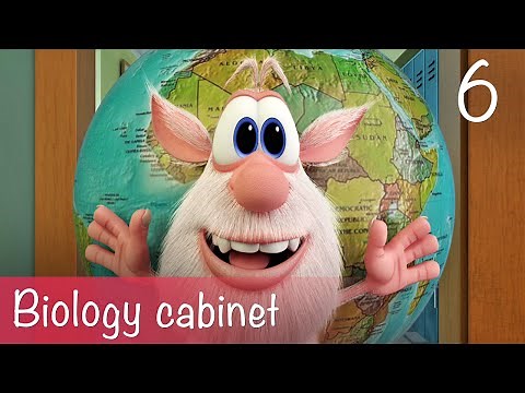Booba - Biology cabinet - Episode 6 - Cartoon for kids