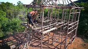 Building a Bamboo Hut in the Jungle