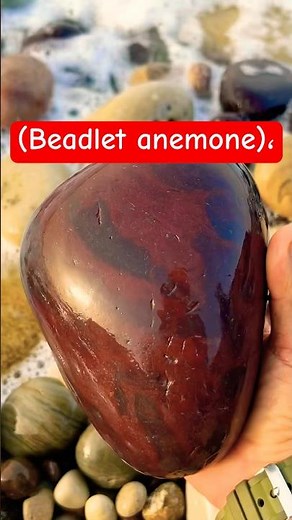 ‏ممكن نقول لهذا الحجر أنه من العقيق الأحمر أو الكبيدي #احجار_كريمة #stone #امودو_على_الدراجات