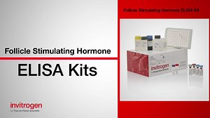 follicle%20stimulating%20hormone