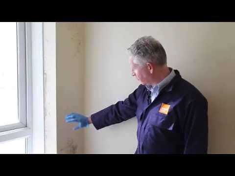 How to treat mould using a mould cleaning kit