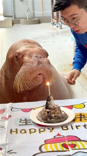 Birthday suprise that made charlie cry 🥳😘