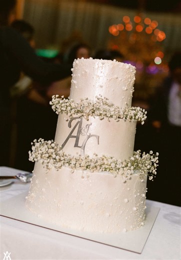 Delicious Cake Transformations: Celebrate with Biso Cakes