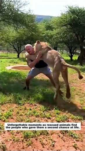 Unforgettable moments as rescued animals find the people who gave them a second chance at life.