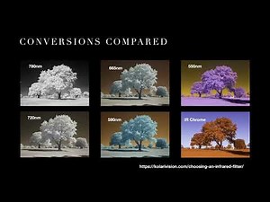 Discovering Digital Infrared Photography (Webinar Replay)