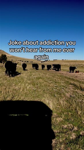 Understanding Addiction: Humor and Sensitivity