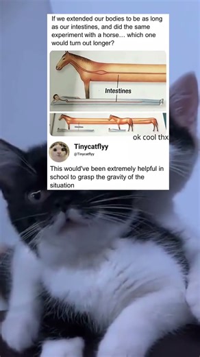 This would've been extremely helpful in school to grasp