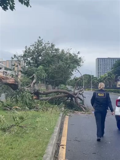 Hawaii News Now on Reels
