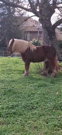 #beautiful #cute #rabbit #france #cow #africa #animals #parrot #anime #love #lovesong #lovestatus