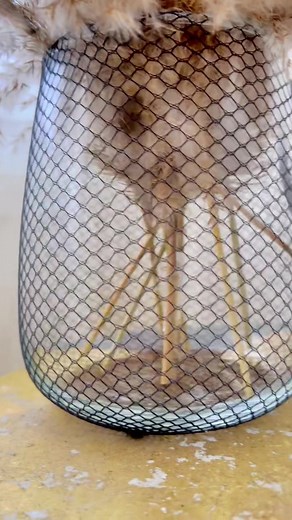 #diy #action #decoration