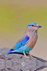 Beautiful Nature! 💕 | Our World in Photographs