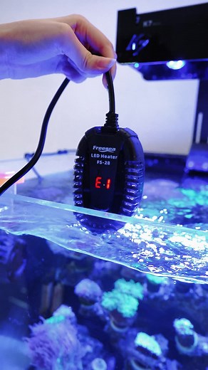 #aquarium #freshwateraquarium #freshwater #water #fishtank #fishtok #aquascape #aquariumhobby #nature #aquariumplants #foryou #fyp #foryoupage