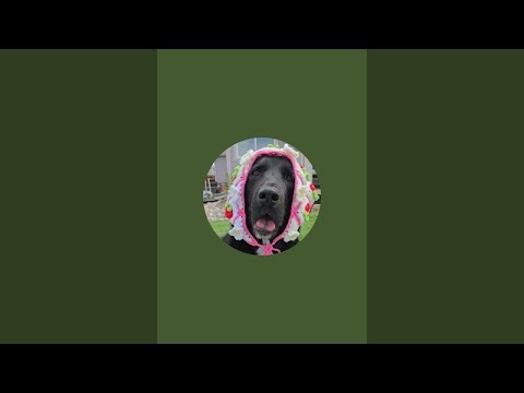 crochet chennal #doily 7