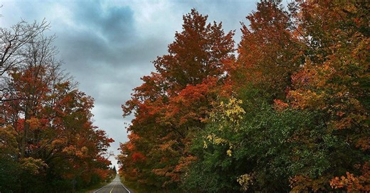 Looking for fall fun? Here are 8 places in York Region offering awesome autumn experiences