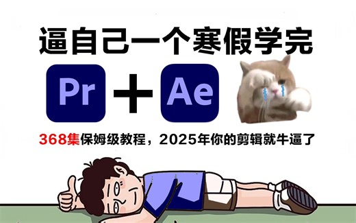 【全368集】强推！2025最细最全自学PR AE全套教程，草履虫都学得会！别再走弯路了，逼自己寒假学完，从0基础小白到视频剪辑大神只要这套就够了！