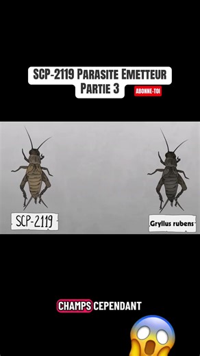 SCP-2119 Parasite Emetteur Partie 3 #scpfoundation #scp #viraltiktok #animation #fyp