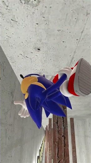 Sonic Ragdoll Physics: The Best Epic NPC Falls!