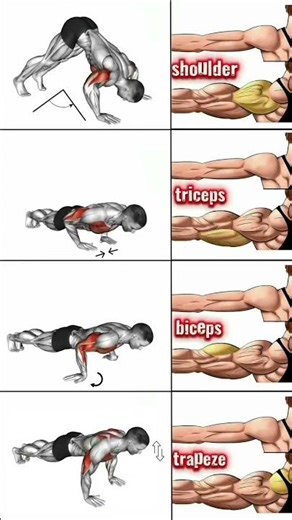best exercises for shoulder at home without any equipment