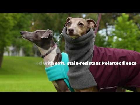 Our Best Rated Warm, Dry Winter Dog Jacket | DogCoats.com
