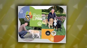 18 reactions · 6 comments | We can all agree that 2021 can’t get here soon enough! Pre-order your Pens & Paws Calendar now and enjoy all of your favorite Pittsburgh Penguins players with their beloved four-legged friends all year long. And, a few of the adoptable dogs, cats and rabbits from Animal Friends even make a special appearance! Get yours at ThinkingOutsideTheCage.org/Pens. | Animal Friends | Facebook