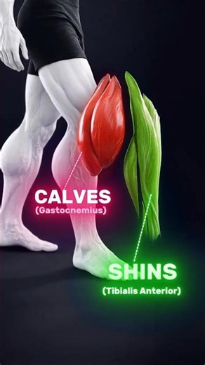 Build calves that actually grow. 💪