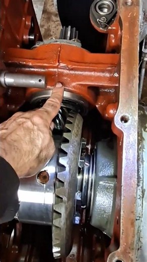 URSUS C-335 EXPORT 😳 How to eliminate the backlash in the differential?