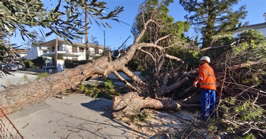 Θεσσαλονίκη-Βίντεο: Εκατοντάδες πτώσεις δέντρων – Ξηλώθηκαν κάγκελα, τέντες, τζαμαρίες | Parallaxi Magazine