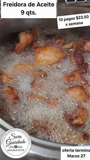 freidora de 9 qts. Princess House