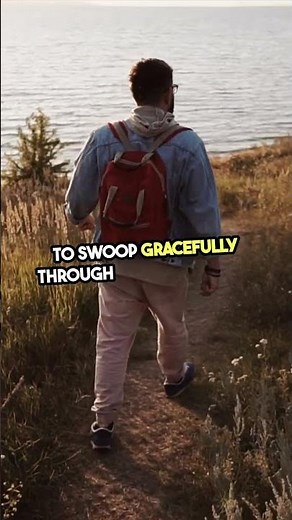 Oilbird: Nature's Echolocation Master? 🦉 #Shorts