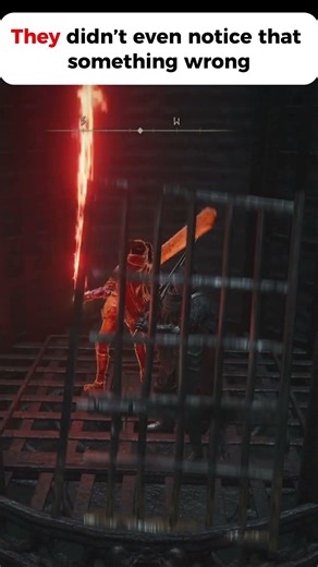 they didn't even notice that something wrong #eldenring #gaming #shortvideo #shorts #fypシ #memes