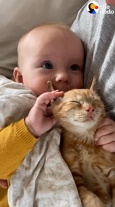 This kitten's just a month older than his baby sister and jumps into her crib for cuddles every chance he gets 💞 | Soulmates
