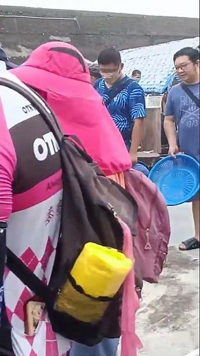 今天漁船是拖著一條「黃金巨獸」回來的！直擊定置漁場捕獲「破紀錄」大尾鬼頭刀！ 光榮定置漁場 #freshfish #seafood 6 10 26 2025 Oct 1761458560 001