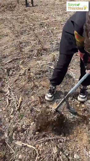 A Manual Stem Removal #shorts #viral #trending #gardening #farming #tools #diygarden