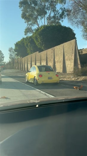 Does anyone in Montebello know this yellow Slug Bug? I was driving and noticed him waiting by the side of the freeway ahead of me. I knew he would follow me after I passed by so I started filming. I saw that his left headlight was hanging off, but that wasn’t the reason why he was stopped. There was nothing wrong with his car mechanically. He was just doing the “wait by the side of the road and drive off” stalking trick. Vigilante neighbors and local police do this move a lot on freeways. The ye