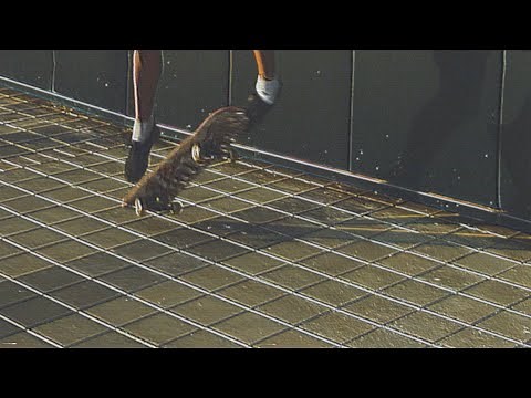 Jimmy Eat World - Failure (Official Video)