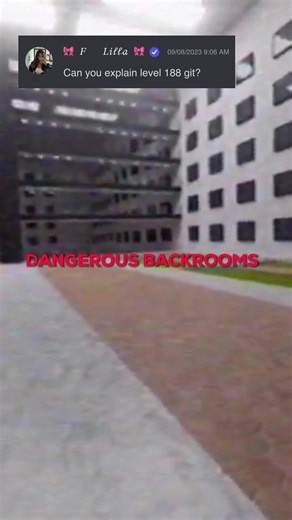 Exploring Level 188: The Windows Found Footage Backrooms
