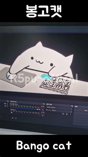 봉고캣 Bango cat