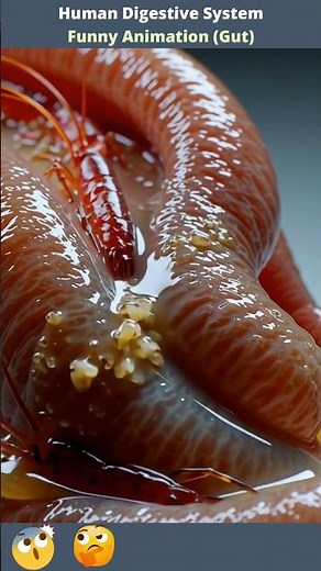 #digestivesystem #guthealth