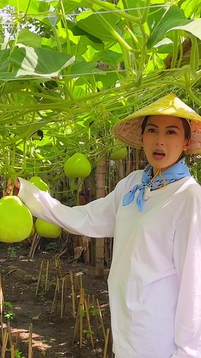 Buhay probinsya kasama si Alex Gonzaga - Exploring Rural Life with Alex Gonzaga