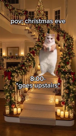 Christmas Eve Cat Edition: Festive Feline Moments