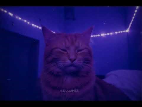 Melancholic Ambient for Deep Sleep & Overthinking | Winter Path 2518